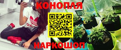 синтетический гашиш Михайловка